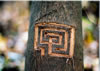 Tree Graffiti: pattern #2